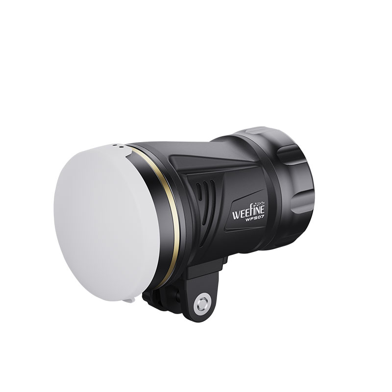 Unterwasserblitz mit Videolampe WFS07