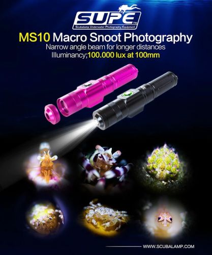 MS-10 Unterwasserlampe mit Makro Snoot